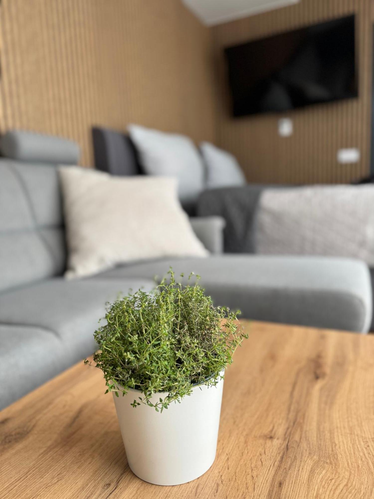 Airport Luxury & Apartament